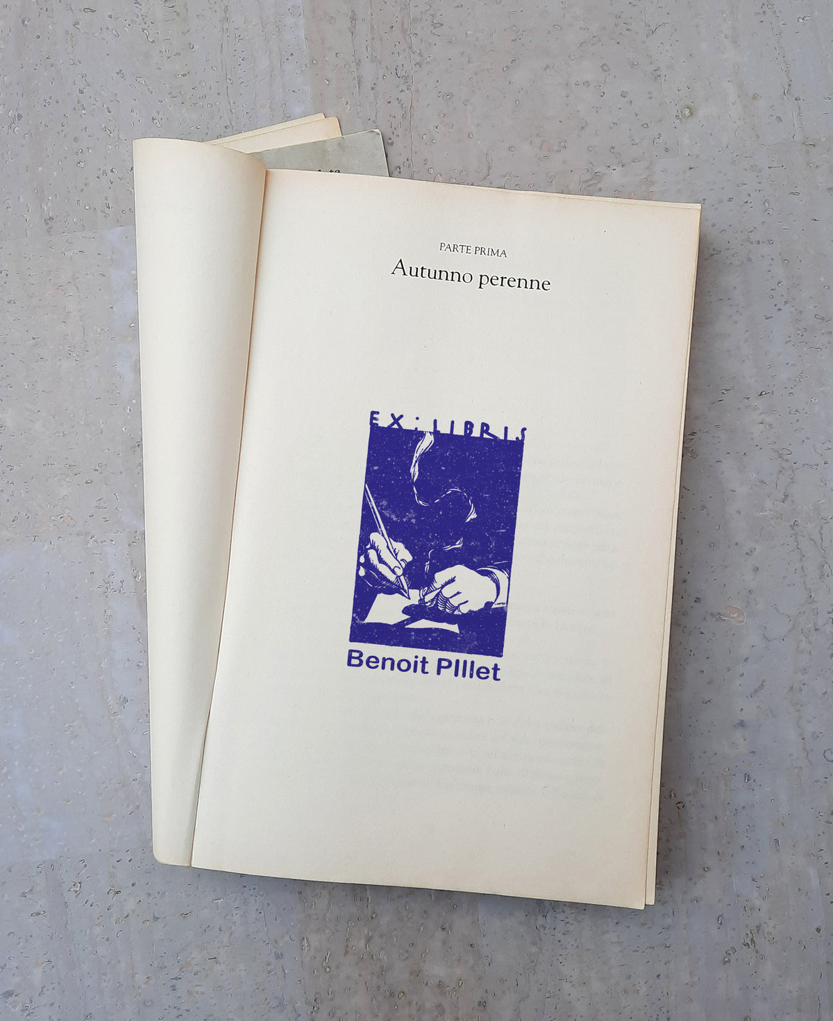 PERSONALIZED EX LIBRIS STAMP - Writing Hands