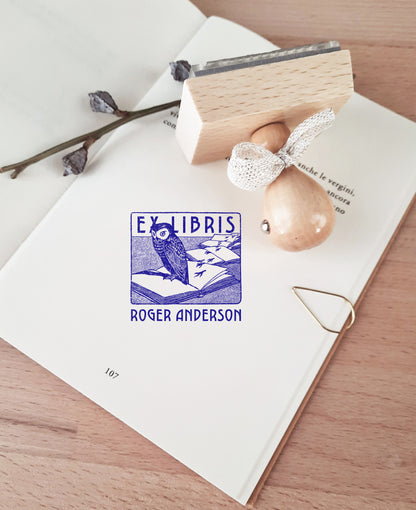 2. Luxury Library Accessories