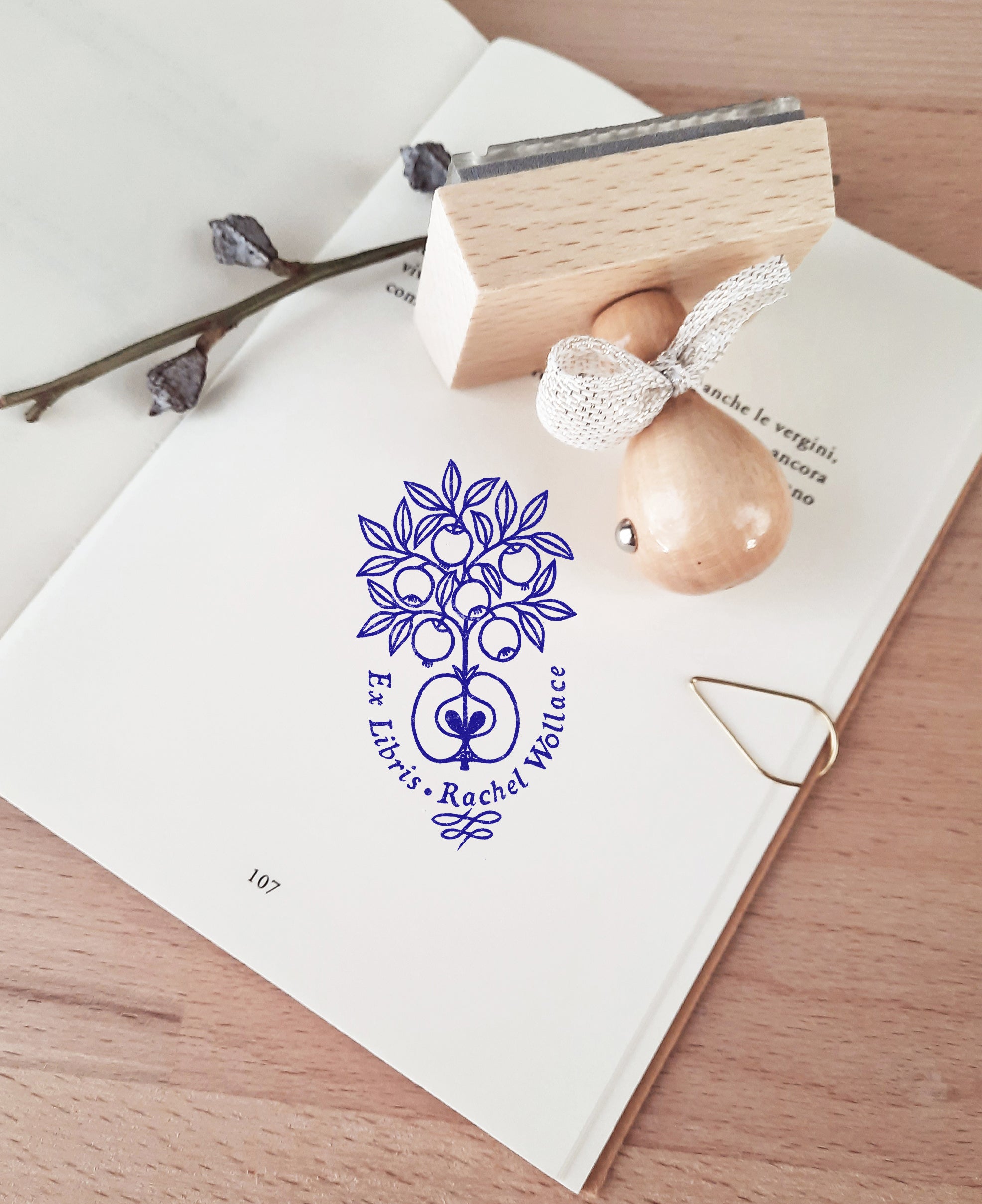  Luxury Library Accessories