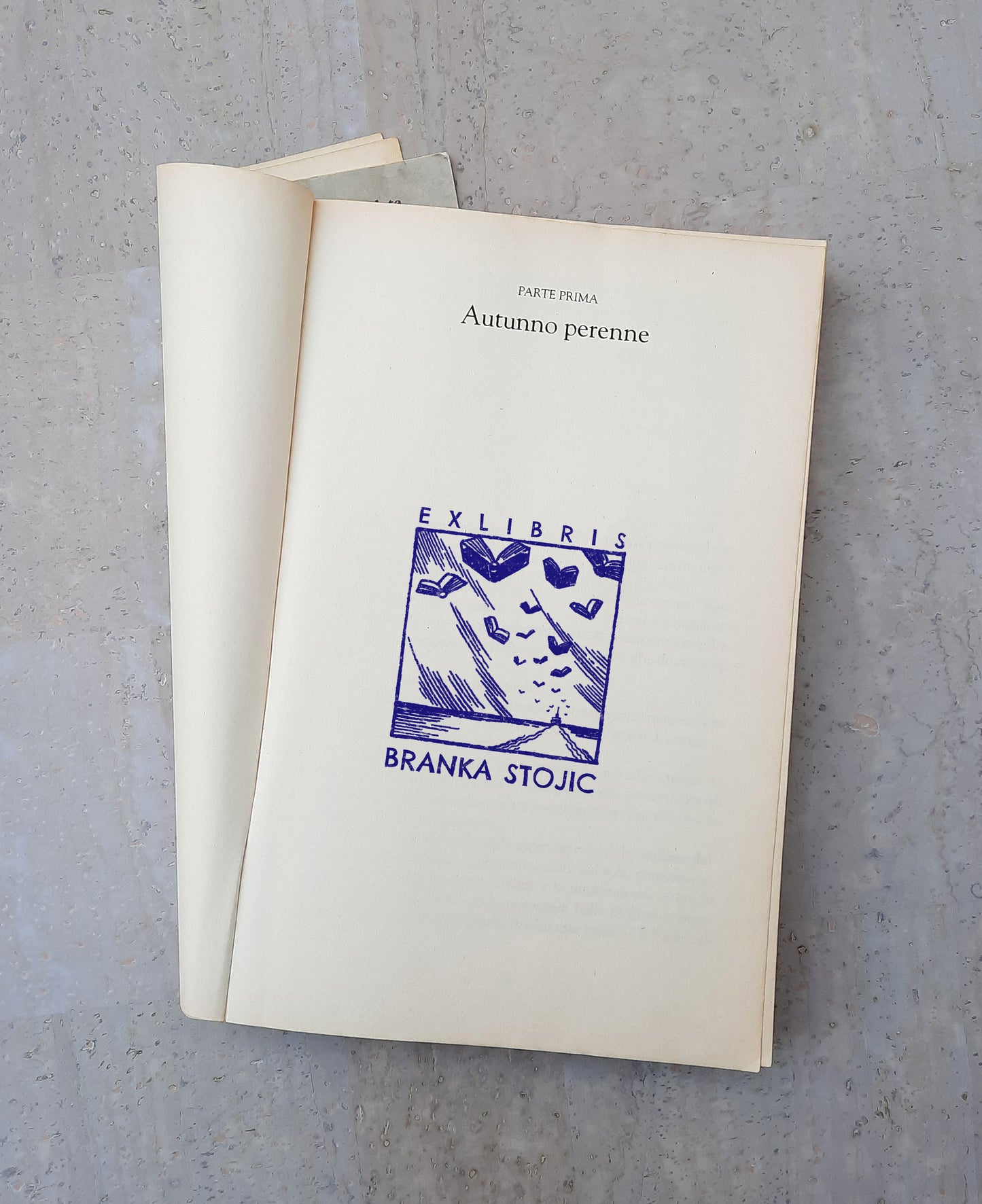 PERSONALIZED EX LIBRIS STAMP - Flying Books