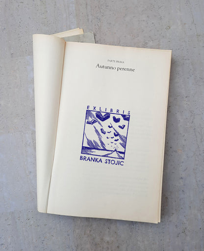 PERSONALIZED EX LIBRIS STAMP - Flying Books