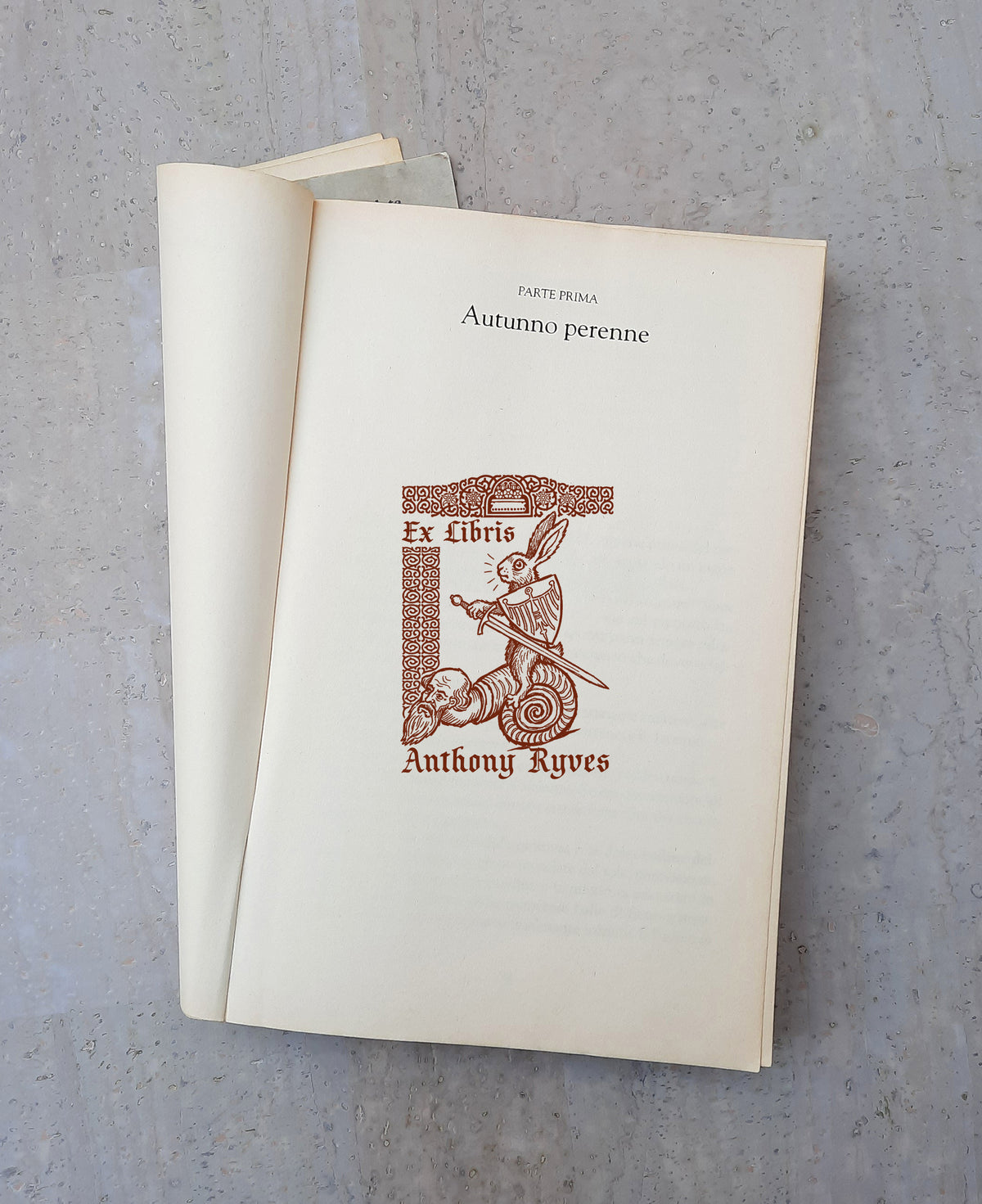 PERSONALIZED EX LIBRIS STAMP - Grotesque Medieval Rabbit