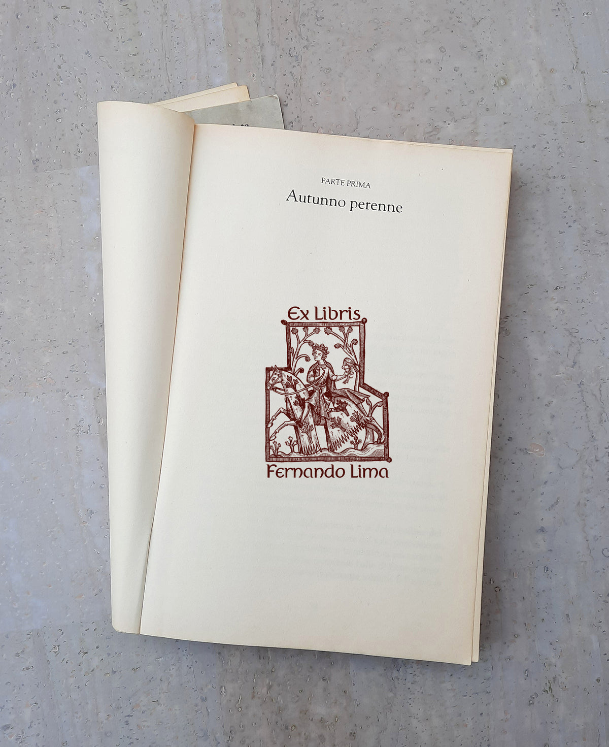 PERSONALIZED EX LIBRIS STAMP - Medieval Knight